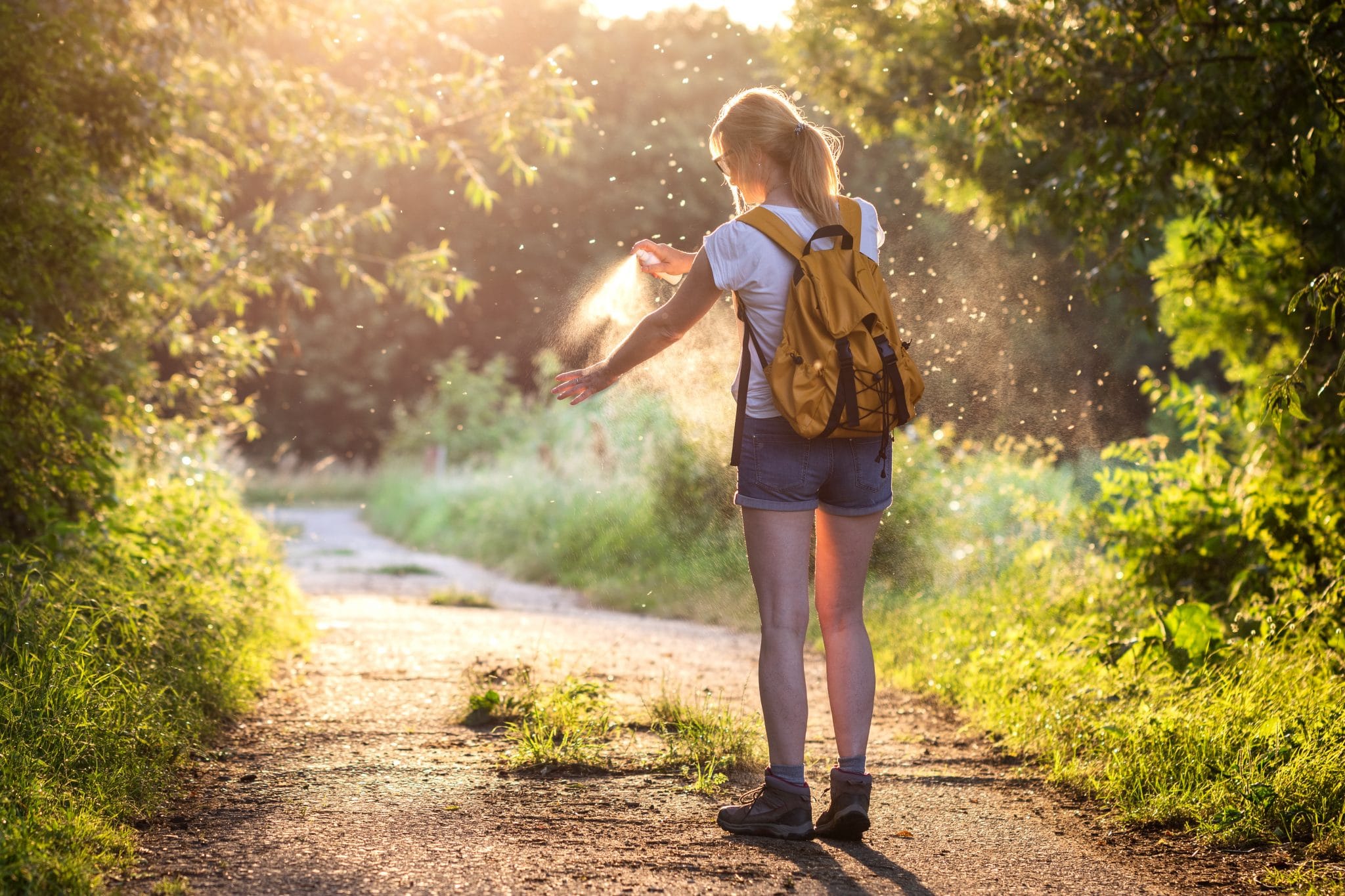 Top 5 des meilleures astuces naturelles pour éloigner les moustiques