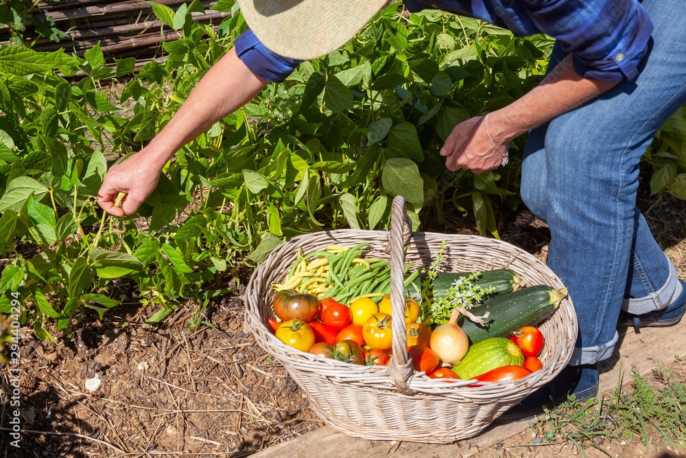 Annie Bertin, agricultrice pour chefs étoilés