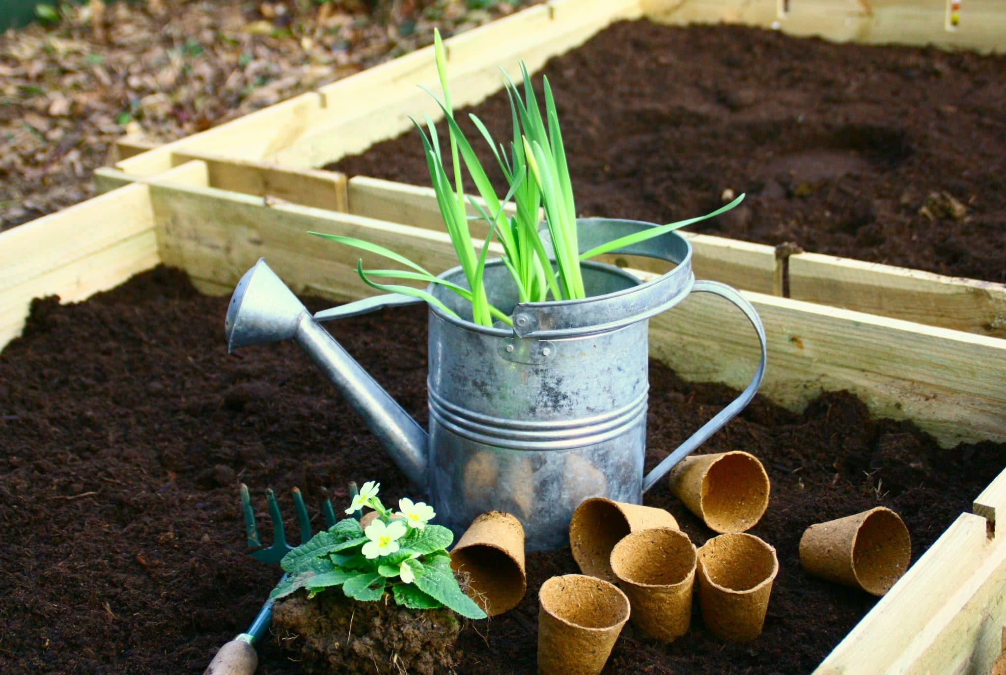 Ciel mon radis ! recrée du lien social en entreprise grâce aux potagers collaboratifs