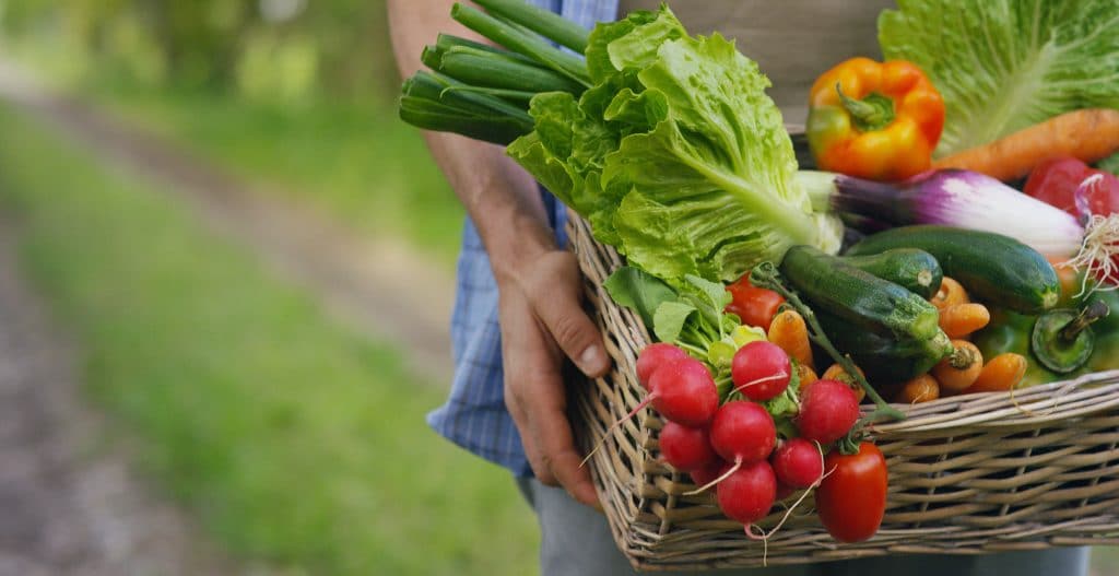 Portrait of a happy young farmer holding fresh vegetables in a basket. On a background of nature The concept of biological, bio products, bio ecology, grown by own hands, vegetarians, salads healthy