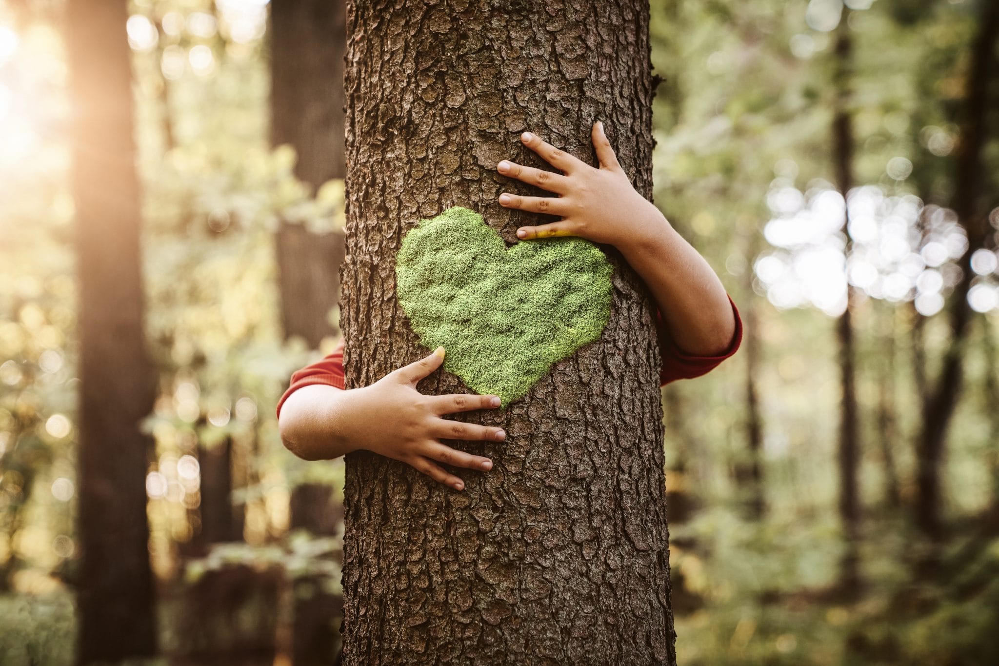 Des enfants aident des agriculteurs à planter des arbres.