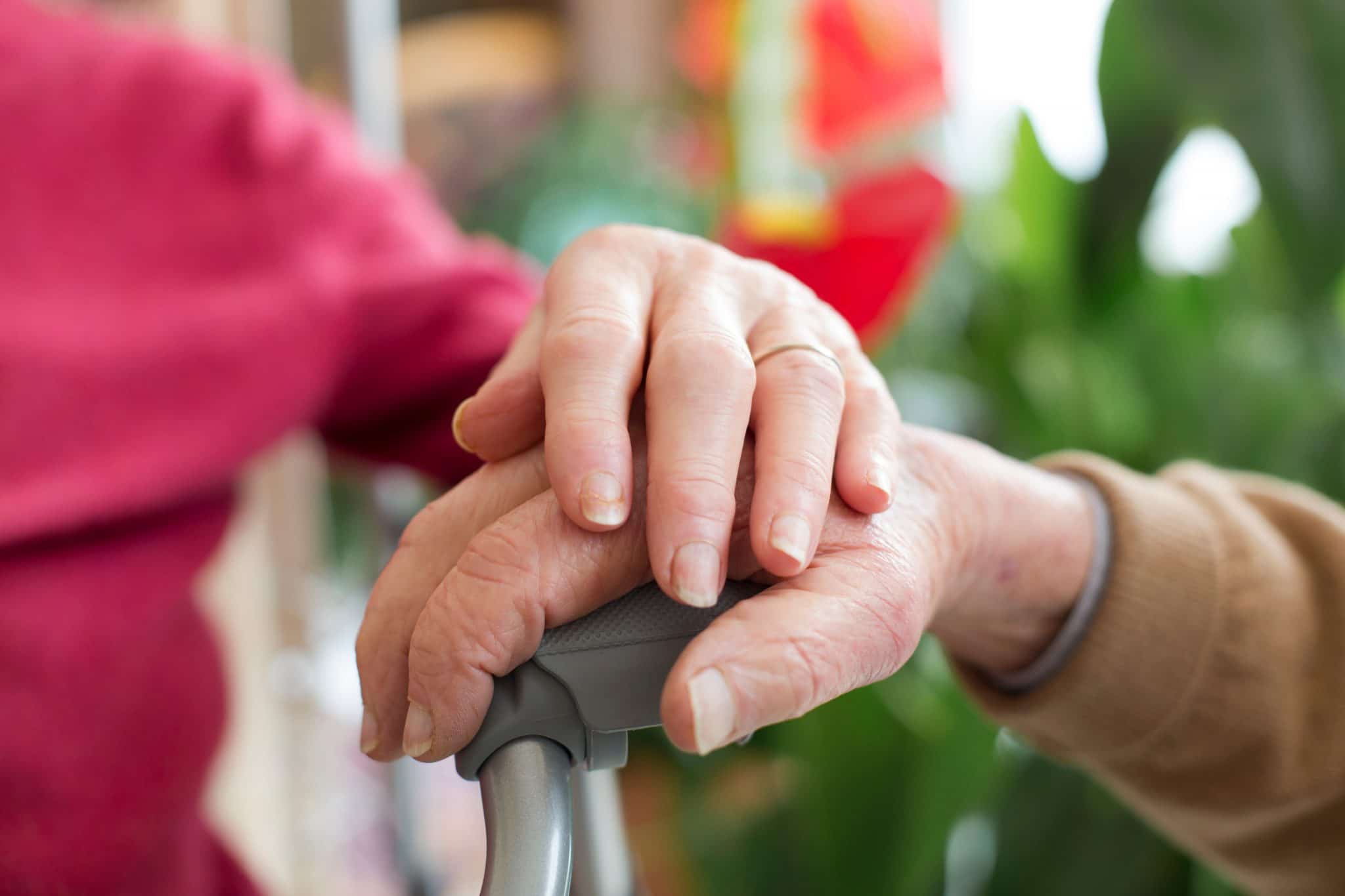 Des étudiants proposent des activités culturelles à des seniors.