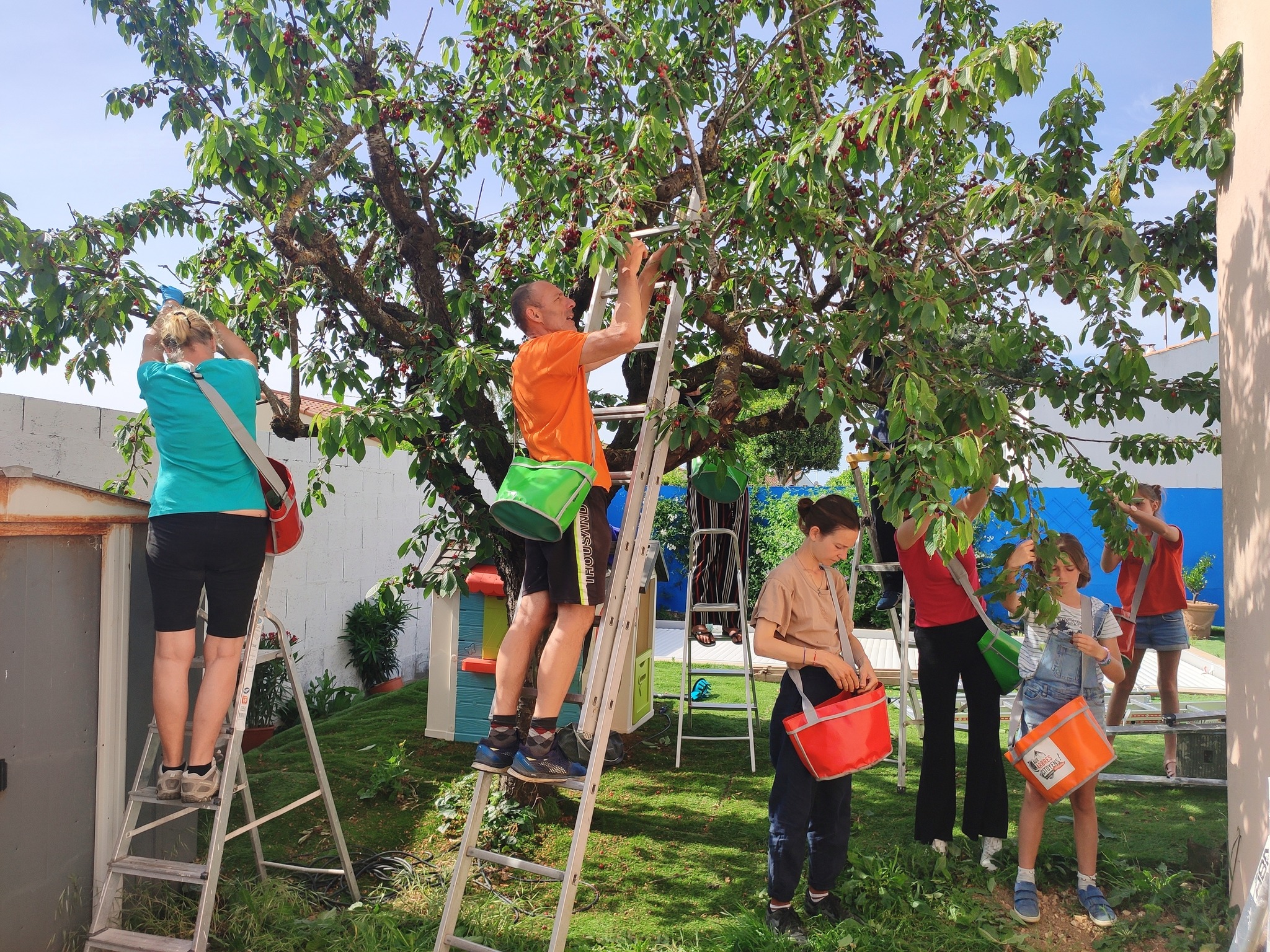 Aux arbres citoyens