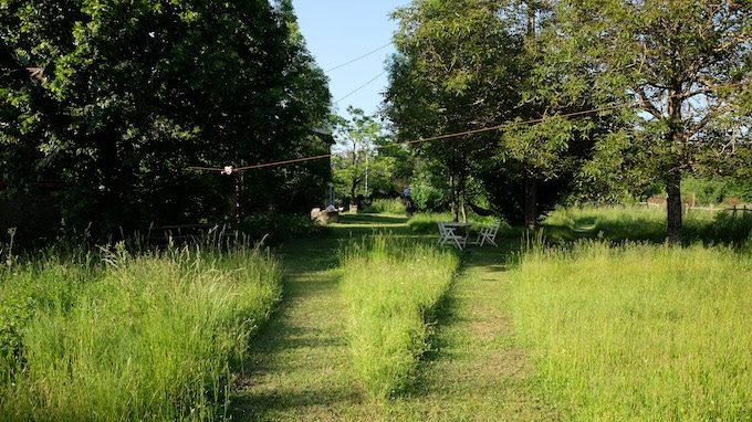 Yoann Molard-Auclair, architecte-paysagiste « sauvé » par les plantes