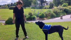 Manche : le chien Ravel soutient les enfants victimes de violences