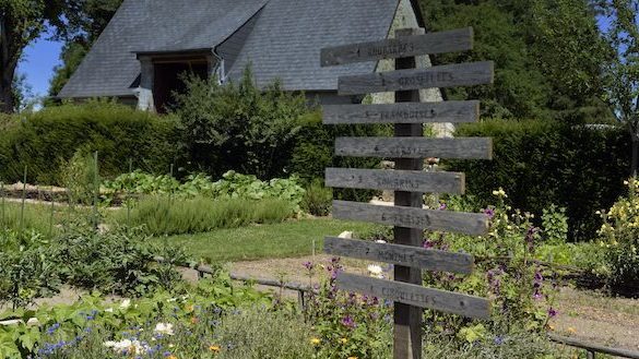 Beauty Garden : des cosmétiques qui poussent au jardin