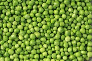 green pea background