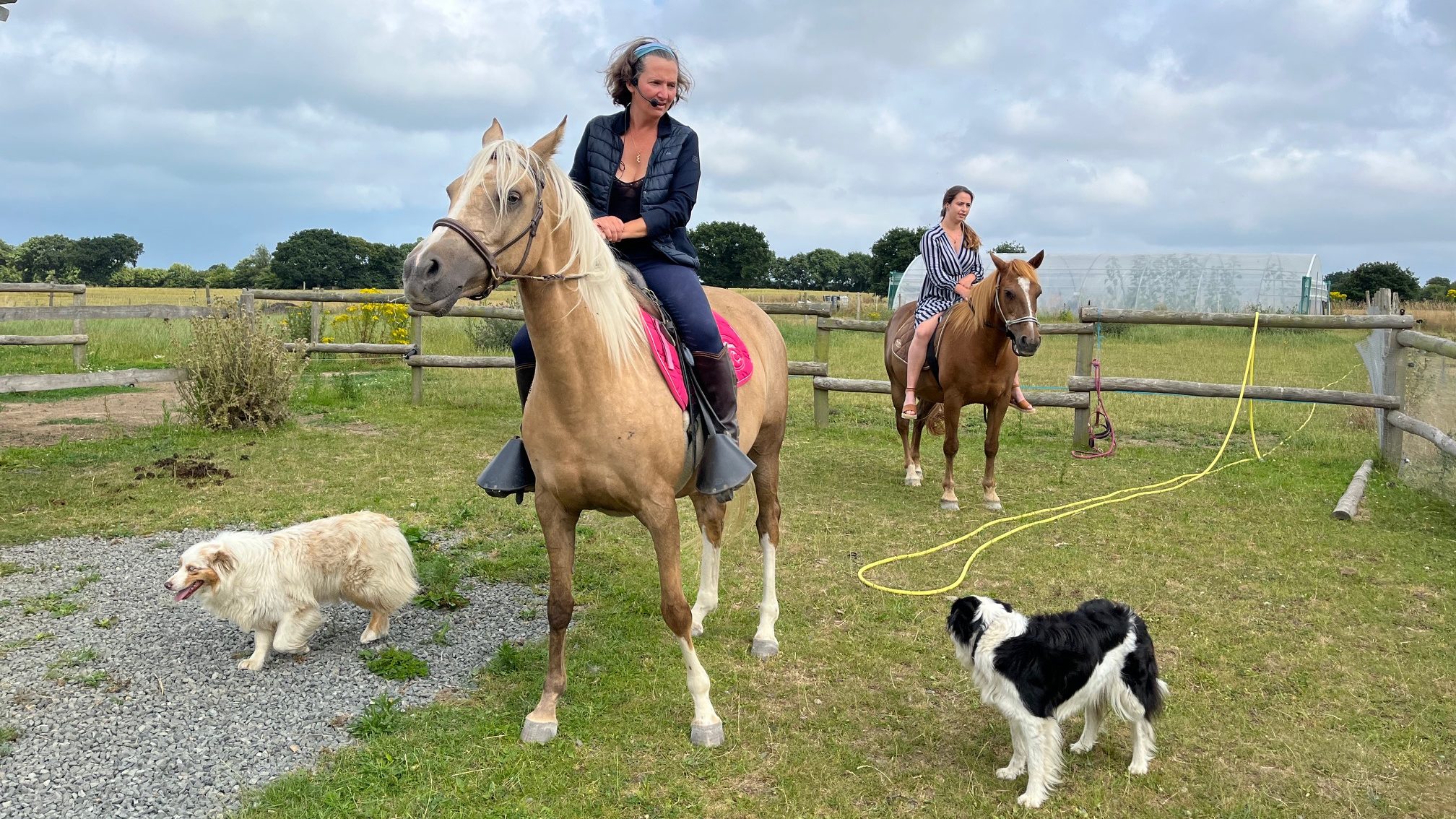 Anaik chevaux bretagne safran