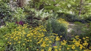 En Gironde, voyage en couleurs au jardin du Fond de l’Or