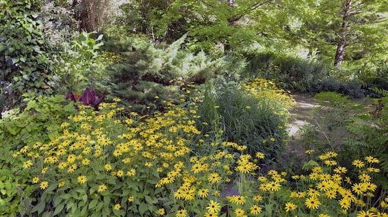 En Gironde, voyage en couleurs au jardin du Fond de l’Or