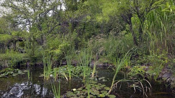 le jardin de jan