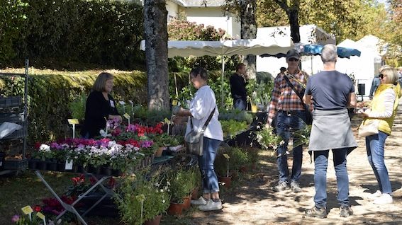 fête des plantes Pompadour