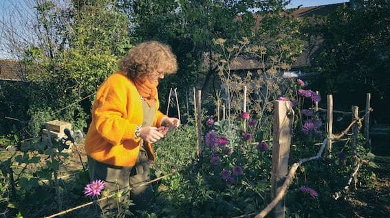 Mlle Taco dans son jardin