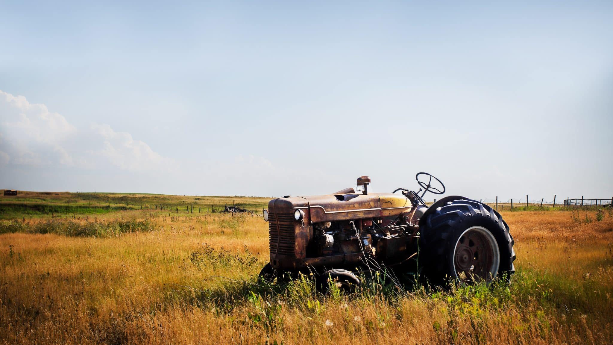 Un vieu tracteur rouillé est posé au milieu d'une prairie aux herbes hautes et jaunies