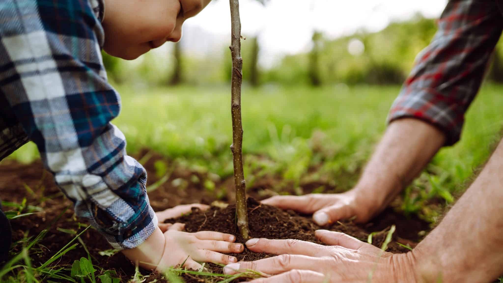 Enrichir la biodiversité avec l’opération plantons le décor