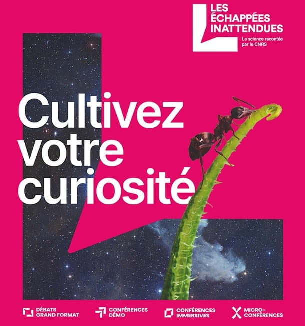 affiche cultivez votre curiosité