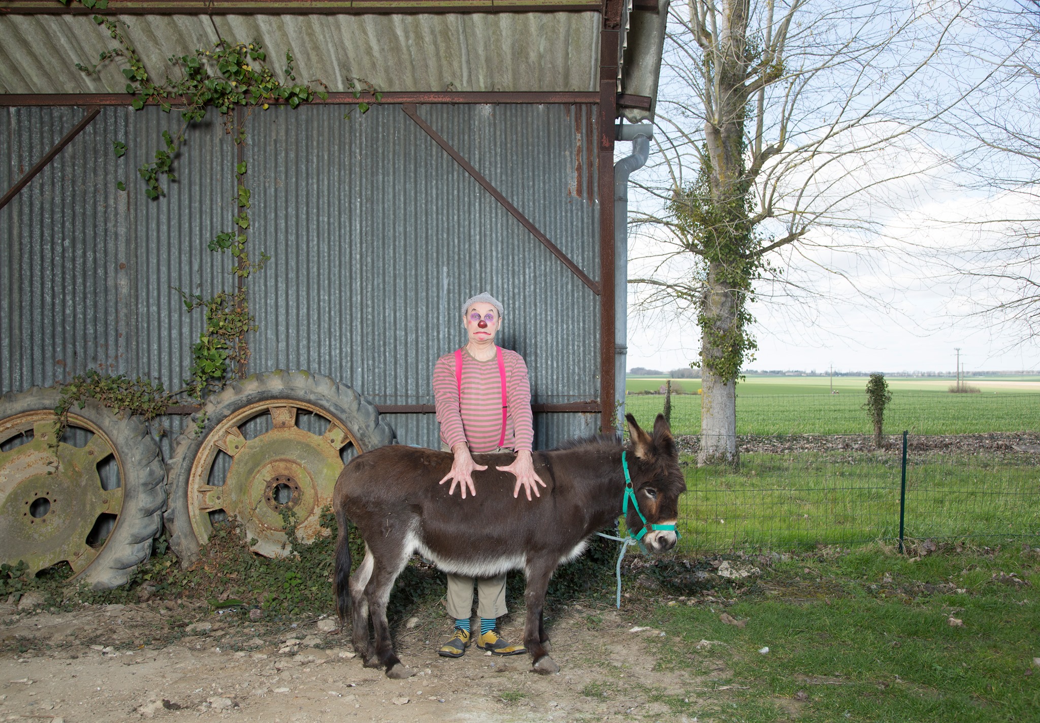 Un clown avec un âne