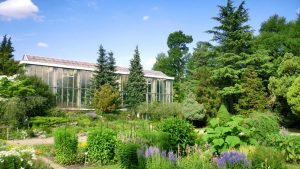 Dans les serres du jardin botanique de Strasbourg