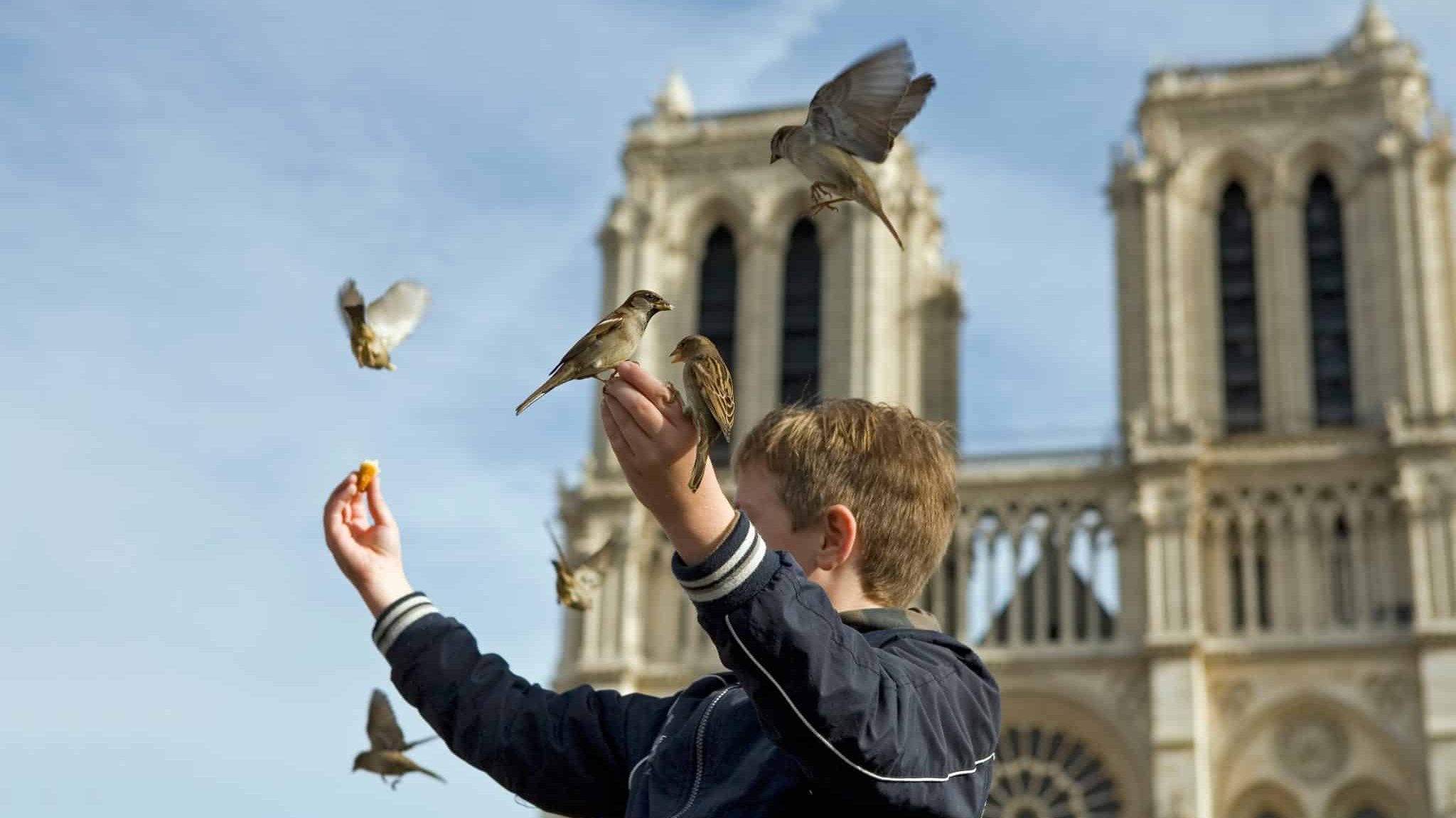 Paris : De nouvelles pistes pour le dispositif Quartier Moineau