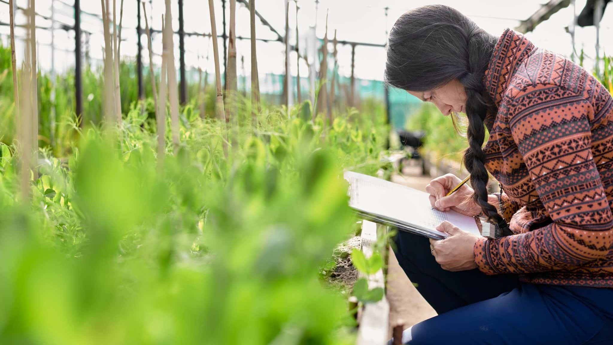 Une femme étudie l'herbe.