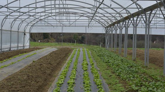 ferme des petites bottes