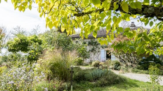 le jardin sous le ciel