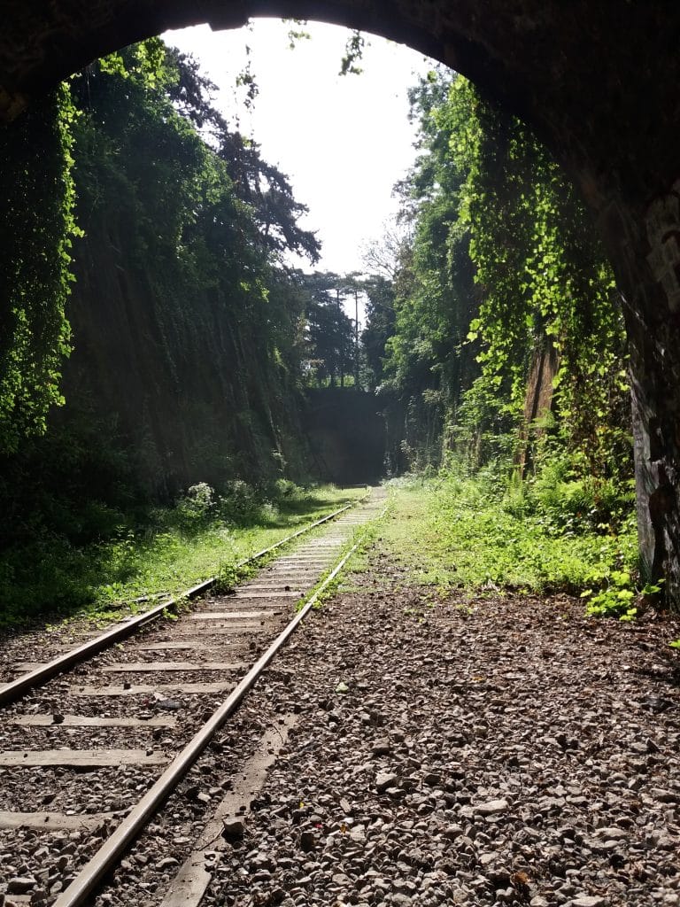 La petite Ceinture