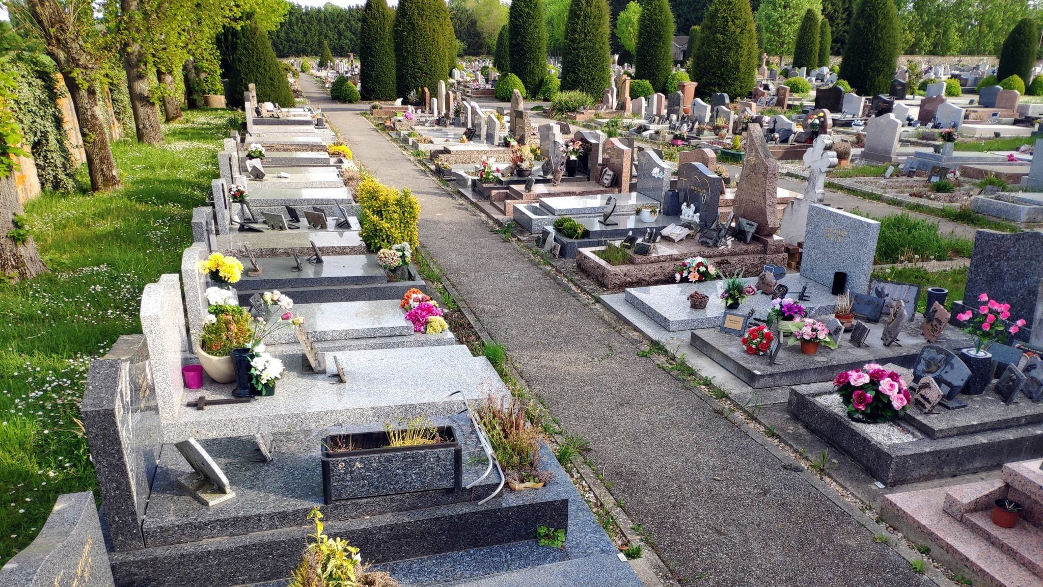 Un cimetière avec des mauvaises herbes.