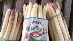 La saison des asperges d’Alsace démarre lentement mais surement