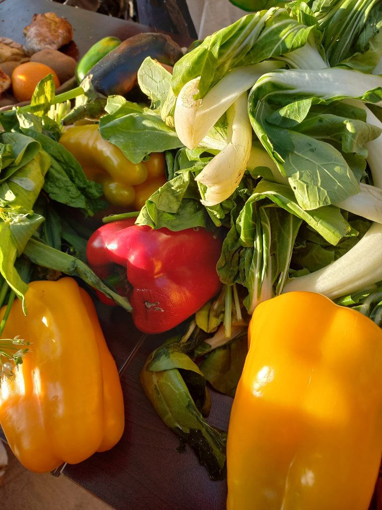 Lyon : Les Eco-Charlie à la rescousse des invendus alimentaires