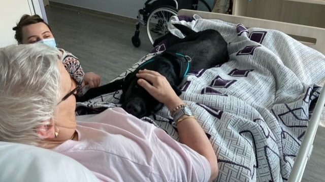 Un chien d'assistance est allongé sur une dame résidente d'un ehpad